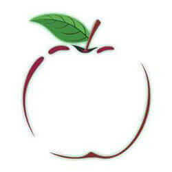 97.3 Apple FM Taunton logo